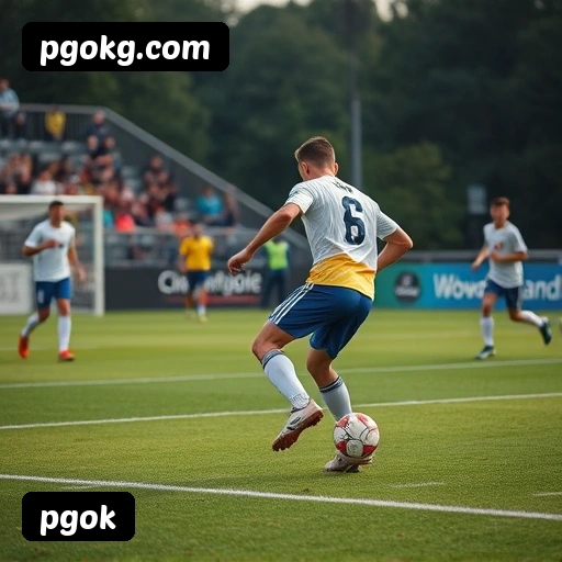 pgok suporte 24/7 português Brasil - 47 atendentes brasileiros chat ao vivo